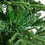Nearly Natural 7' Pre-Lit Artificial Edmonton Fir Light Show Memory Shape Christmas Tree (T4786)~#|#~F44B3F53-D389-4AF1-B01461DE92A39B9D_sc7