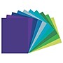 Tru-Ray 9" x 12" Construction Paper, Cool Assorted, 50 Sheets/Pack, 5 Packs/Bundle (PAC102942-5)~#|#~F45BC71B-A613-4CD6-9D80DA3FFF02BC53_sc7