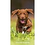 2026-2027 Willow Creek 3.5" x 6.5" Monthly Planner Cover (56622)~#|#~F4634448-7944-4F9D-BBB3DE86BEB8C143_sc7