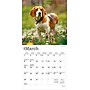 2026 BrownTrout Beagles 7" x 7" Monthly Wall Calendar (9798330702374)~#|#~F4768919-819B-4E17-AABAC90AEC9DCA91_sc7