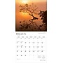 2026 BrownTrout Missouri Wild & Scenic 12" x 12" Monthly Wall Calendar (9798330704620)~#|#~F4916A5E-0531-4740-8839DE59B4CB4D77_sc7