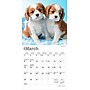 2026 BrownTrout Cavalier King Charles Spaniel Puppies 7" x 7" Monthly Wall Calendar (9798330702800)~#|#~F49624CF-8531-4783-A8BBAA61BB6B2EBF_sc7