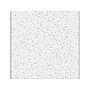 Armstrong FINE FISSURED Angled Tegular Edge Ceiling Tile, 24" x 24", White, 16/Carton (BP1732)~#|#~F4A392AF-55BD-486B-B39F83864A38879A_sc7