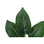 Monarch Specialties Inc. 17" Artificial Aureum Plant in Pot (I 9502)~#|#~F4BB5AF8-D35B-4662-B435D91F4FA4A942_sc7