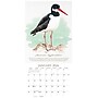 2026 Willow Creek The Art of Birds 12" x 12" Monthly Wall Calendar (56332X)~#|#~F4C2B9BD-8599-4EBA-A9DF1B51E6665E2D_sc7