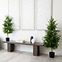 Nearly Natural Artificial Norfolk Pine Tree, 4' (T4708)~#|#~F5071669-9C60-4958-9D75D4DF2BDBF706_sc7