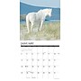2026 Willow Creek Wild Horses 12" x 12" Monthly Wall Calendar (53287)~#|#~F52C1F49-798A-4AFD-9C1996BD7C1DC329_sc7