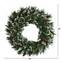 Nearly Natural 24-in Frosted Swiss Pine Artificial Wreath with 35 Clear LED Lights and Berries (W1113)~#|#~F5328F07-0ED3-471D-B3189A28AFA2A10A_sc7