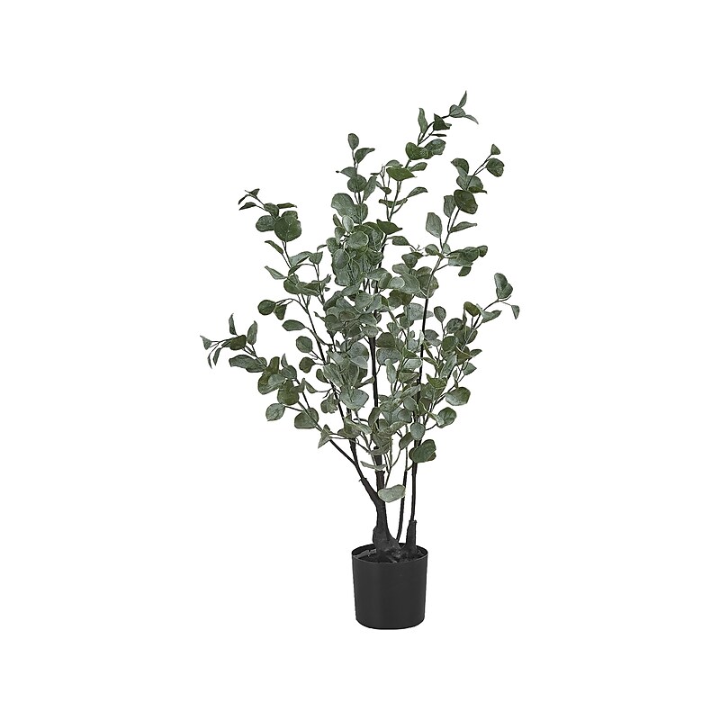 Monarch Specialties Inc. Eucalyptus in Pot (I 9562) image 1