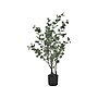 Monarch Specialties Inc. Eucalyptus in Pot (I 9562)~#|#~F54C7E4C-14E6-44AA-8CAA8704EB45E98E_sc7