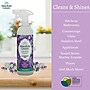 Absolute Green Eco-Friendly All-Purpose Cleaner, Lavender Spa, 2/Pack (LAVAll-2PK)~#|#~F55B2B4A-5F17-431F-886052E53738CF52_sc7