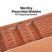 Staples® Heavy Duty Reinforced Accordion File, Monthly Index, 12-Pocket, Letter Size, Brown (595369)