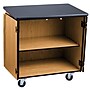 NPS  36"H Mobile Science Cabinet With Adjustable Height Shelf, High Black Top/Light Oak Frame (MSC24361)~#|#~F582EB7B-2DAE-4D90-98738C1CFD0BDFEC_sc7