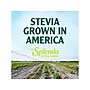 Splenda Stevia Sweetener Packet, 400/Box (SP21700410)~#|#~F5BB4C40-3D95-4158-AF7E30A84E5284A8_sc7