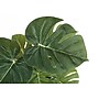 Monarch Specialties Inc. 13" Artificial Monstera and Calthea in Pot, 2/Set (I 9584)~#|#~F5CAFCB1-71F2-448B-82B51F17D92AF0D0_sc7