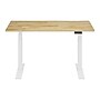 FlexiSpot E7 Commercial 55''W Electric Rectangular Adjustable Standing Desk, Rubber Wood/White (E7WCOM5528-RW)~#|#~F5CC7DC2-E5AD-4358-A31C89F7488D461E_sc7