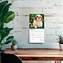 2026 BrownTrout Shih Tzu Puppies 7" x 7" Monthly Wall Calendar (9798330705542)~#|#~F5D72502-8744-4177-BDB073F1F99FAB87_sc7