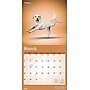 2026 BrownTrout Yoga Dogs 12" x 12" Monthly Wall Calendar (9798330701933)~#|#~F5FE922E-1E2A-4051-BF651895C64F067F_sc7