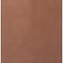 Finch Franklin Bonded Leather Computer and Desk Chair, Camel (CHR10060B)~#|#~F61417FC-75DE-4757-82928AF04272B58E_sc7