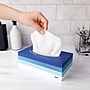 Perk Ultra Soft Facial Tissues, 2-Ply, 160 Sheets/Box, 3 Boxes/Pack, 12 Packs/Carton, FSC Certified Soft Tissue (PK57778CT)~#|#~F63701AF-BFFF-40C6-AE74EC52ACEF8BF5_sc7