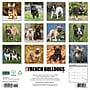 2027 Willow Creek French Bulldogs 12" x 12" Monthly Wall Calendar, Assorted Colors (60308)~#|#~F641AFBB-C506-491B-8B00D002B9564602_sc7