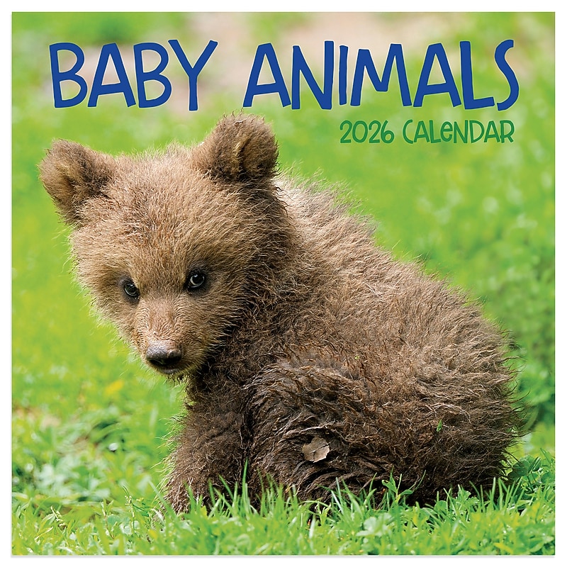 2026 TF Publishing 12" x 17" TF Publishing 7" x 7" TF Publishing 7" x 7" Baby Animals Mini Calendar 26-2000 image 1