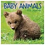 2026 TF Publishing 12" x 17" TF Publishing 7" x 7" TF Publishing 7" x 7" Baby Animals Mini Calendar 26-2000~#|#~F66DB848-2326-41A7-ADA183DD62774CEE_sc7