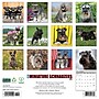 2026 Willow Creek Miniature Schnauzers 12" x 12" Monthly Wall Calendar (55502)~#|#~F672691D-92C2-49C2-BE70B75D4BFDB5D4_sc7