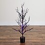 Nearly Natural Pre-Lit Artificial Halloween Black Spooky Twig Tree, 3' (T5234)~#|#~F678762C-0831-43D8-98EA6D3FBFE1B78D_sc7