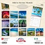 2026 BrownTrout Florida Wild & Scenic 12" x 12" Monthly Wall Calendar (9798330703272)~#|#~F6911A07-C1FF-4703-AA14F11A95F04574_sc7