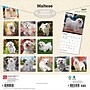 2027 BrownTrout Maltese 12" x 12" Monthly Wall Calendar (9798330714742)~#|#~F691BC7F-BD15-473F-894AF93F8906A71F_sc7