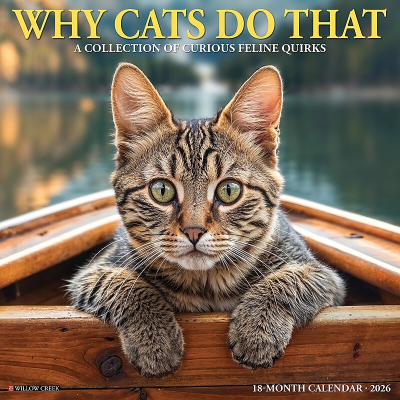 2026 Willow Creek Why Cats Do That 12" x 12" Monthly Wall Calendar (53256) image 1