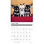 2026 Willow Creek Chihuahuas 12" x 12" Monthly Wall Calendar (50699)~#|#~F6983197-9F12-4F2E-9E51EB8EF566982B_sc7