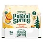 Poland Spring Pineapple Mango Sparkling Purified Water, 16.9 oz., 24/Carton (19991128) ~#|#~F69D7ADE-0DF4-4F80-9F424D0F201652AB_sc7