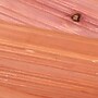 Household Essentials 5‑Piece Cedar Fresh Cedar Drawer Liners (HH25003-1)~#|#~F6B17F48-0E13-47D0-BED017D2988669D7_sc7