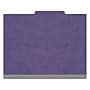 Medical Arts Press Pressboard Classification Folder, 1-Divider, 2" Expansion, Letter Size, Purple, 10/Box (DV-T42-14-3PRP-PKT)~#|#~F6B49865-476A-49D3-9FE900ADF59118A1_sc7