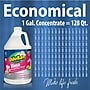 OdoBan Pet Solutions Floor Cleaner, Citrus Scent, 1 Gallon (9361B61-G4)~#|#~F6C49CF9-5FDE-424A-B87C6045C7DBDF2A_sc7