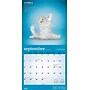 2026 BrownTrout Chats de Yoga OFFICIEL 12" x 12" Monthly Wall Calendar (9798330707348)~#|#~F6D24811-44CF-4636-85F8664B61B02298_sc7
