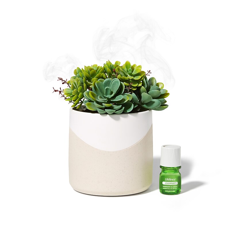 Lifelines Rosemary & Lemon Evaporative Aromatherapy Essential Oil Succulent Diffuser (11-1609) image 1