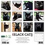 2026 Willow Creek Black Cats 12" x 12" Monthly Wall Calendar (50286)~#|#~F7198097-BBBE-4B79-ACCBF2A90FEEBB28_sc7
