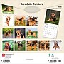 2026 BrownTrout Airedale Terriers 12" x 12" Monthly Wall Calendar (9798330702015)~#|#~F71E9D76-2C01-47CD-A7E5343617EAB0D1_sc7