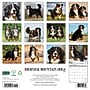 2027 Willow Creek Bernese Mountain Dogs 12" x 12" Monthly Wall Calendar, Assorted Colors (59135)~#|#~F72BA541-2A5C-44CD-9C77551F547F75EA_sc7