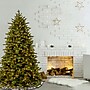 National Tree Company Princeton Fraser Fir Artificial Christmas Tree (PEPOX2-D09-75)~#|#~F7388D89-35FB-4AAF-962FC0F9405D079F_sc7