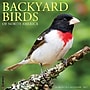 2027 Willow Creek Backyard Birds 12" x 12" Monthly Wall Calendar, Assorted Colors (58978)~#|#~F738D5D0-DB4E-47BA-A5AB53A5DFE6D98E_sc7