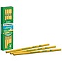 Ticonderoga Laddie Wooden Pencil, #2 Soft Lead, Dozen (X13040)~#|#~F74AF194-2EA5-4088-B54A9145D551BD36_sc7