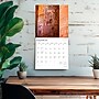2026 BrownTrout Ancient Egypt 12" x 12" Monthly Wall Calendar (9798330702107)~#|#~F7603872-58CF-43A8-B0B35145D8E1381C_sc7