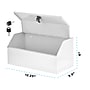 Viva Comfort Steel Secure Surface-Mount Medicine Medical Cabinet, 0.2 cu. ft., White, (ADI999-05-WHI-MK)~#|#~F77B9922-FA3F-41BA-8370B28C7964C917_sc7