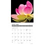 2027 Willow Creek Flowers 7" x 7" Monthly Wall Calendar (64023)~#|#~F7894671-B8EB-4510-848AFB209F8E89A5_sc7