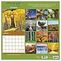 2027 TF Publishing Trees 10" x 12" Monthly Wall Calendar, Multicolored (27-1029)~#|#~F790D886-63BC-4CEF-B6A5591351CDAB27_sc7