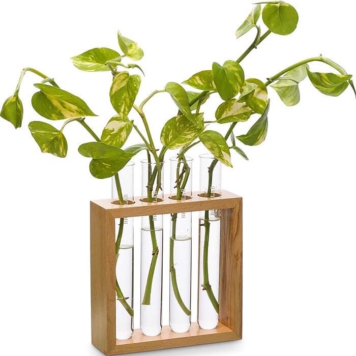 Supertek Square Plant Holder (SKFBLSP1003B) | Staples